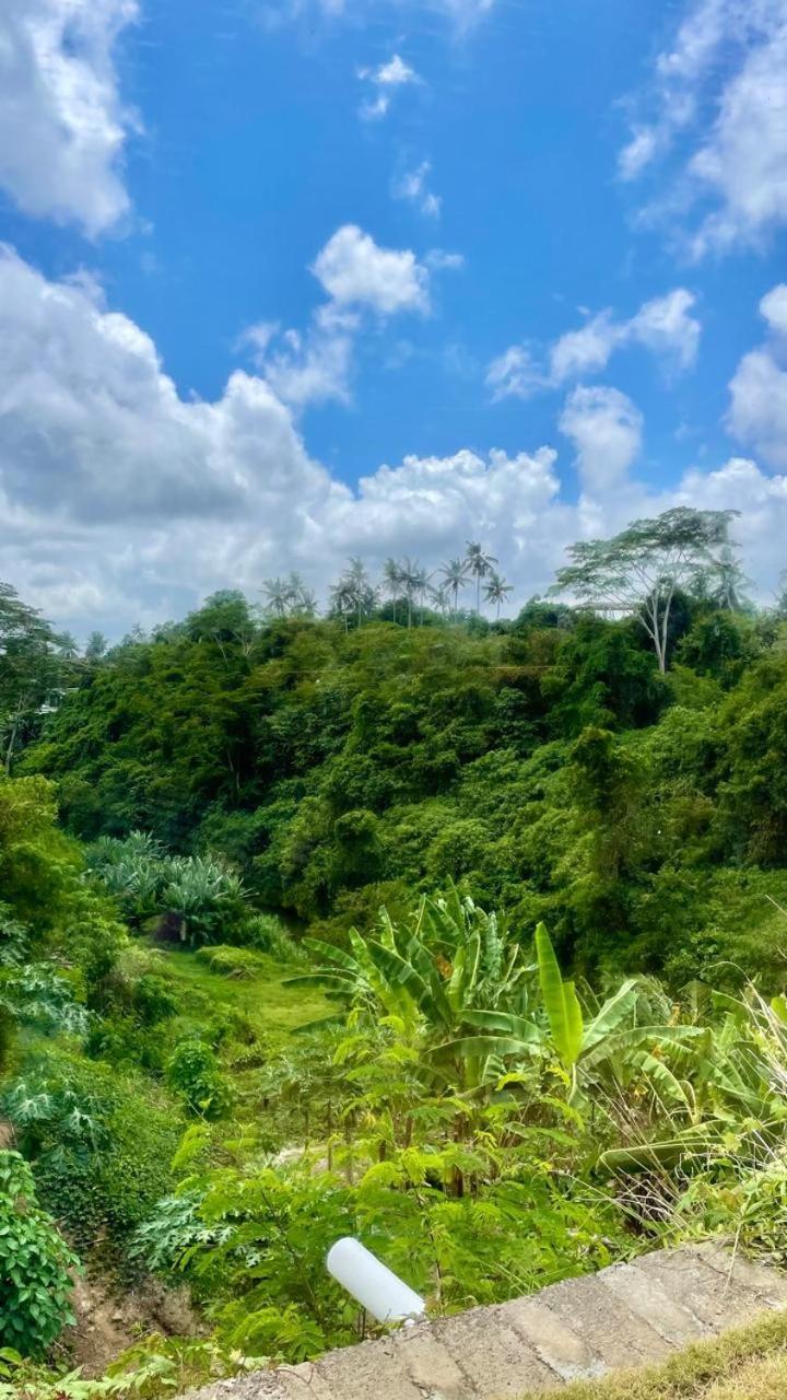 Hotel Solana Wellness Retreat à Ubud Extérieur photo